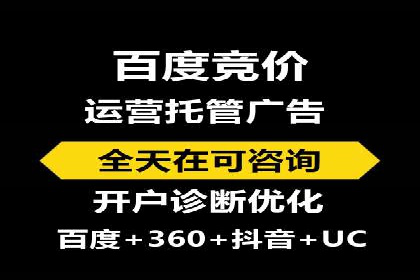 某电商平台的SEM广告投放策略及效果评估